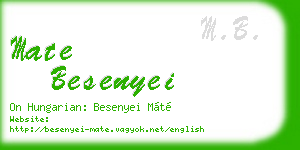 mate besenyei business card